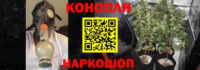 трава Краснодар
