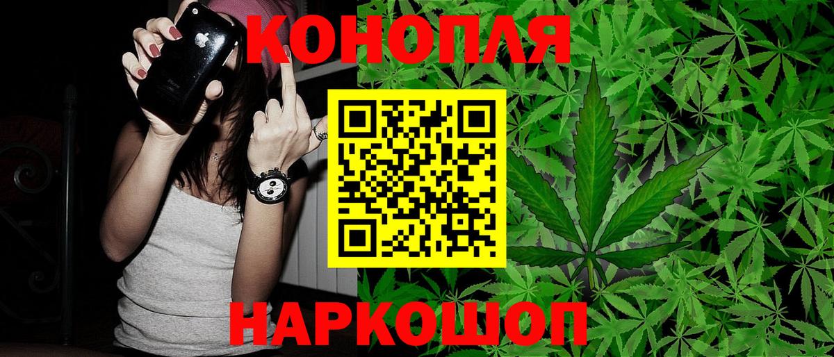 Бошки Шишки марихуана Кудымкар